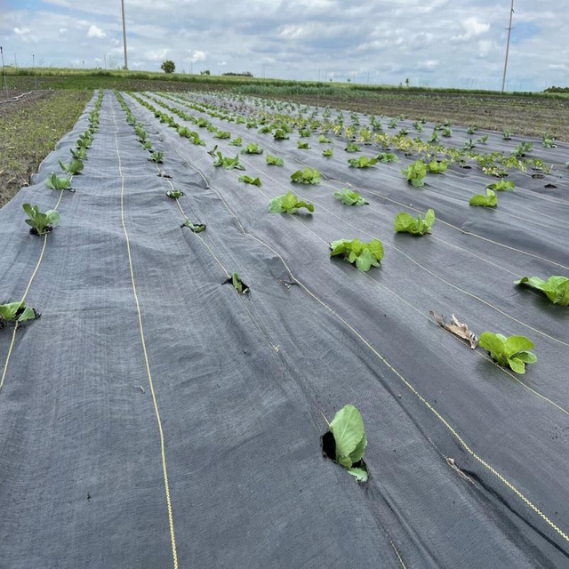 4*100m Weed Mat