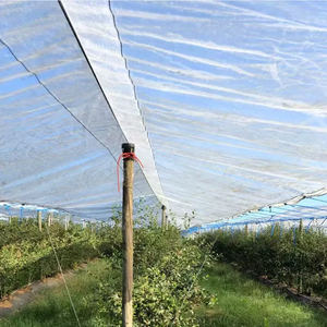 Protection Cover Transparent Woven 160g Waterproof PE Tarpaulin for Cherry Fruits Agricultural Greenhouses