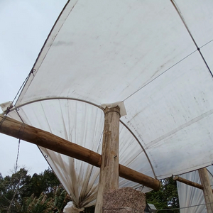 Cherry Tree Orchard Rain Cover PE Tarpaulin Cherry Tree Woven Fabric Cover for Cherry Tree protection