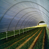 Hot Sell Agricultural Plastic Products Greenhouse Film for Greenhouse Cover