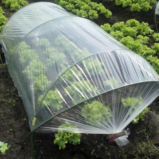 Suppliers Hot Selling Products Farm Greenhouse Used Agriculture Film With UV Covering Vegetable and Flower Farming