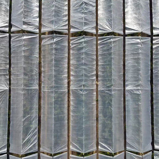 Factory Price Waterproof Plastic Woven Fabric Film Orchard Rain Cover for Cherries