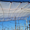 Cherry Tree Orchard Rain Cover PE Tarpaulin Cherry Tree Woven Fabric Cover for Cherry Tree