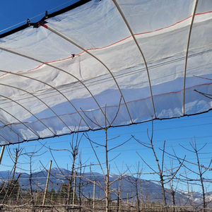 Reinforced Orchard Plastic Cherry Cover Cherry Rain Cover Anti Acid Rain Cover Poly Reinforced Tarpaulin