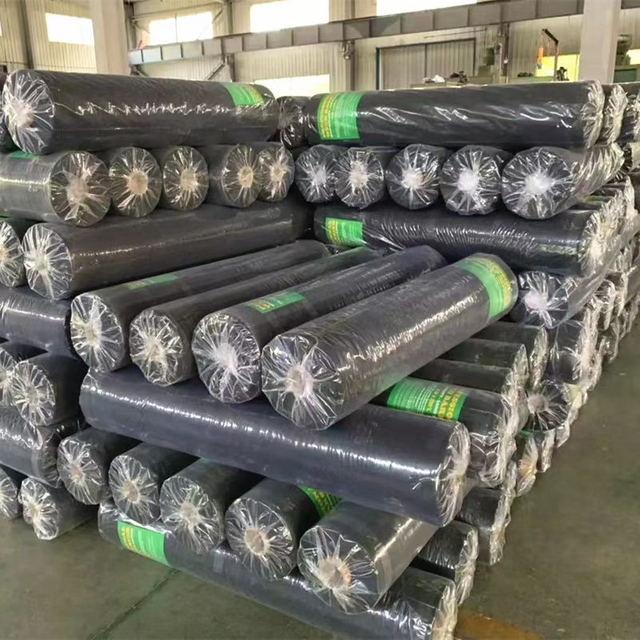 biodegradable Mulch Film Agricultural