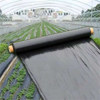 Black Biodegradable Blow Molding Plastic Mulch Film for Agriculture Vegetables
