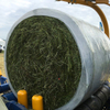 PE Silage Wrap