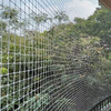 PE Bird Net