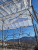 Reinforced Orchard Plastic Cherry Cover Cherry Rain Cover Anti Acid Rain Cover Poly Reinforced Tarpaulin