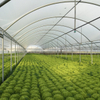 PE Greenhouse Film