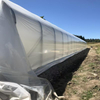 PO Film 80-200 Mic 5 Years Lifespan Greenhouse Plastic Film for Agriculture with Best Quality