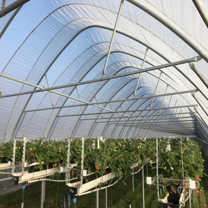 Agricultural 200 Micron Greenhouse Film Cover 6 Mil Moisture-Proof PE Plastic Film Roll for Vegetable Use
