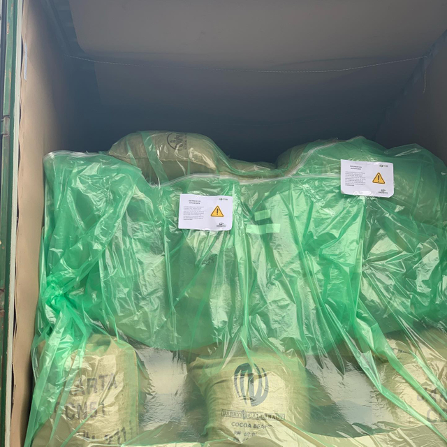 Green 20FT 40FT 100-150 Micron PE Bulk Container Liner for Coco Bean