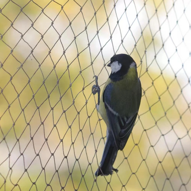 PE Bird Net