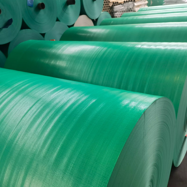 High Quality Blue Pe Tarpaulin Roll Canvas Tarpaulin Waterproof Tarpaulin for Pool