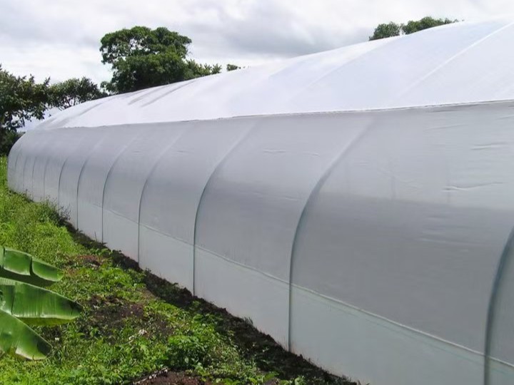 Greenhouse film