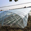 Hot Sell Agricultural Plastic Products Greenhouse Film for Greenhouse Cover