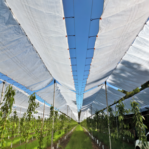 PE Fruit Tree Cover