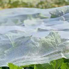 PE Insect net
