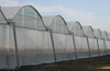 Hot Sell Agricultural Plastic Products Greenhouse Film for Greenhouse Cover