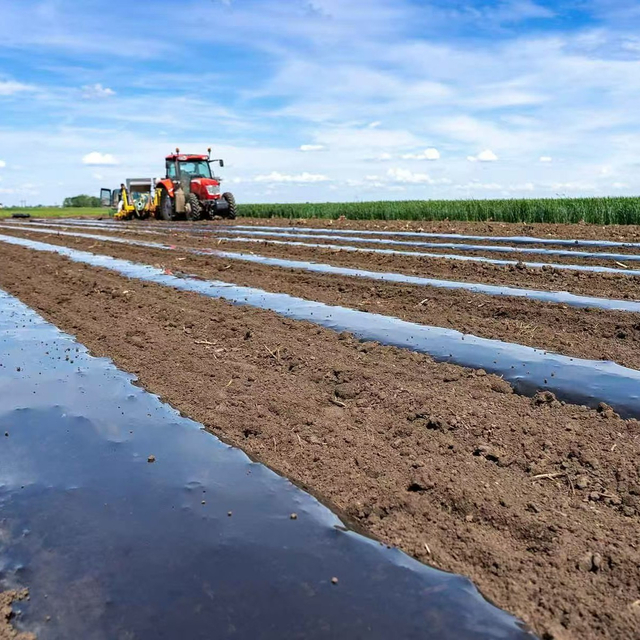 biodegradable Mulch Film