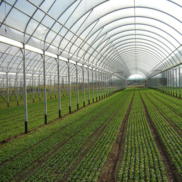 80-200 Microns Greenhouse Polythene Plastic Cover Pe Film for Greenhouse Blueberry Farm Tomato