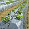 PE Mulch Film