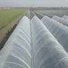 PE Greenhouse Film
