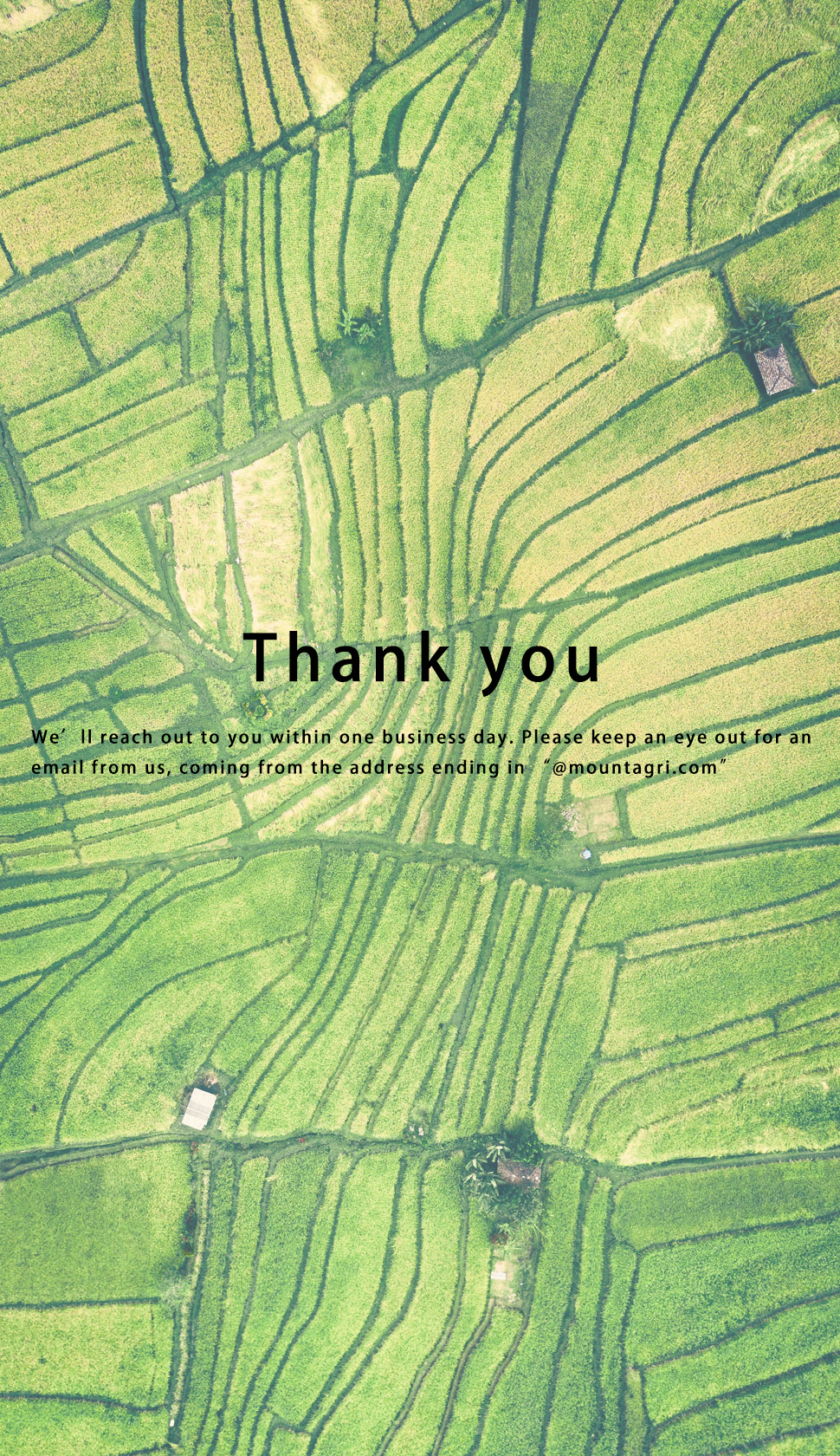 英语手机端背景