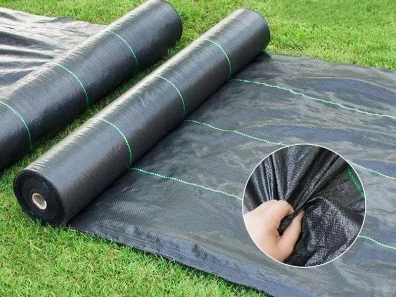 Weed mat