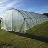 Agricultural 200 Micron Greenhouse Film Cover 6 Mil Moisture-Proof PE Plastic Film Roll for Vegetable Use